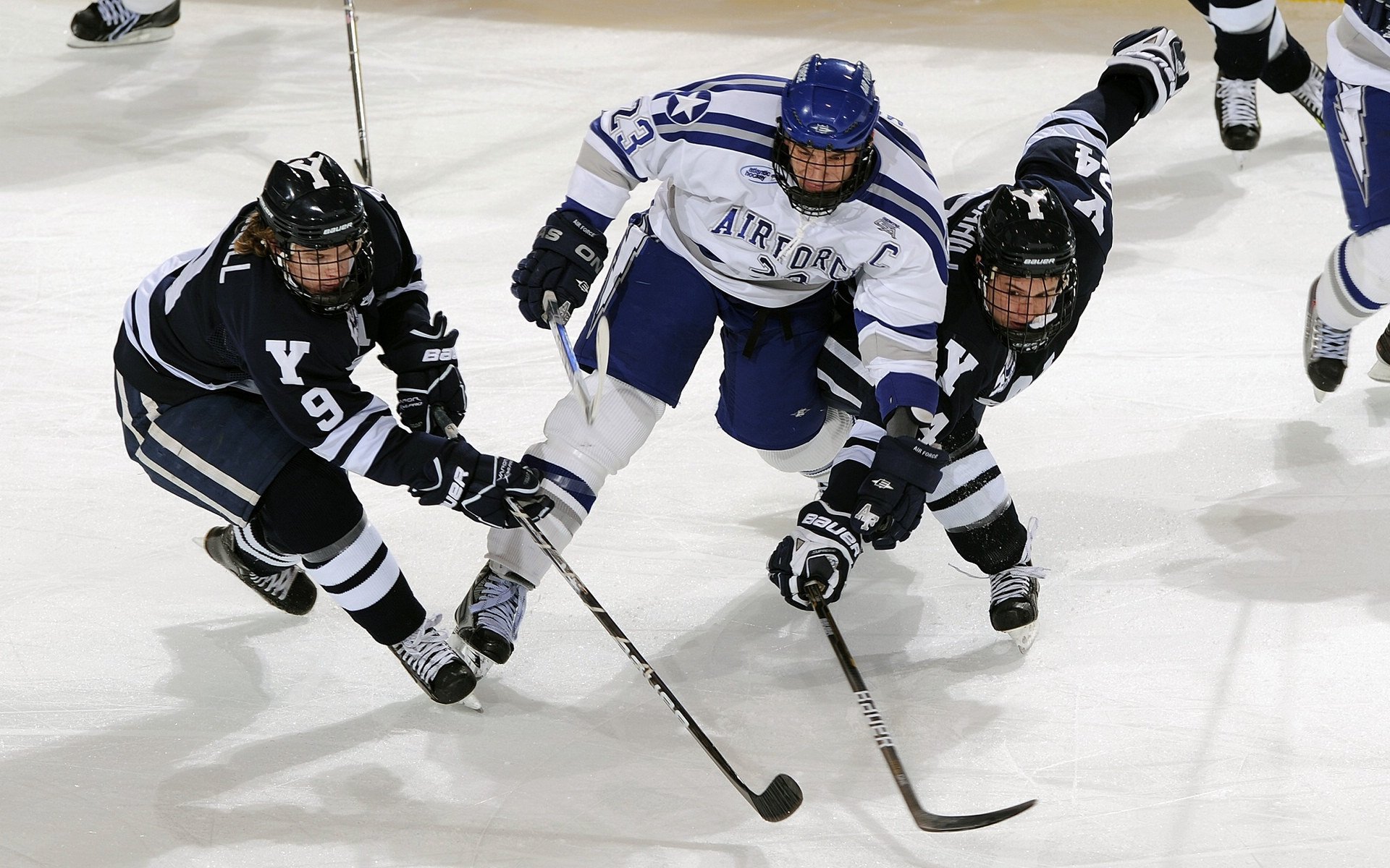 国际帆船赛圆满落幕,法国队勇夺冠军
